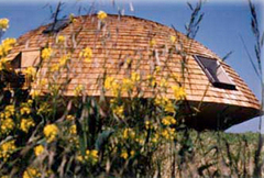 Le bois, le plus vieux matériau de l'avenir - Batiweb