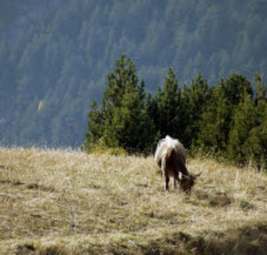 Les Français préfèrent la campagne - Batiweb