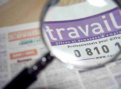 Grenelle Environnement et emplois énergie  - Batiweb