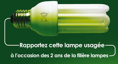 Les lampes ne se jettent plus, elles se recyclent à 93 % de leurs poids ! - Batiweb