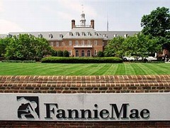 Il faut sauver Fannie Mae et Freddie Mac - Batiweb