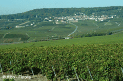 Un complexe touristique de taille au cœur du vignoble - Batiweb