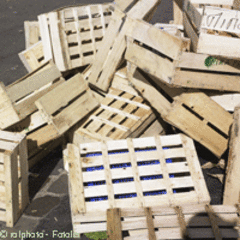 Des cagettes pour illustrer le développement durable - Batiweb