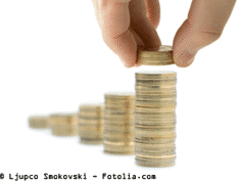 Le patrimoine des Français en baisse en 2008 - Batiweb