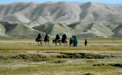 Plongez au coeur du printemps afghan - Batiweb