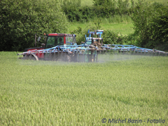Les prix des terres agricoles progressent, pas les transactions - Batiweb