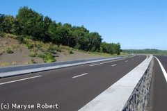 La Route des Tamarins s'ouvre enfin aux Réunionnais - Batiweb