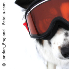 Protégez vos yeux sur les chantiers... c'est vital ! - Batiweb