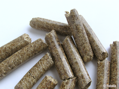 Les granulés bois : une matière première au succès grandissant - Batiweb