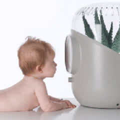 Système de filtration de l'air par les plantes, Andréa est enfin disponible - Batiweb