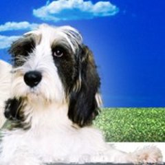 Particulier.com aide les handicapés à trouver un appartement - Batiweb