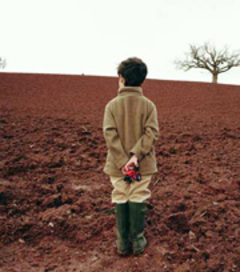 Développement durable (suite): les éco-entreprises, un avenir pour les entreprises du BTP - Batiweb