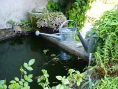 Avant-projet de loi sur l'eau: quels impacts pour les collectivités locales ? - Batiweb