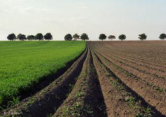 La diminution des espaces agricoles s'accélère au profit des espaces construits  - Batiweb