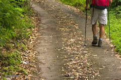 Le pèlerinage de Compostelle désormais disponible en 3D   - Batiweb