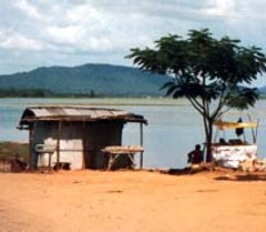 Les villas de rêve des 'expats' d'Asie emportées par la Vague - Batiweb