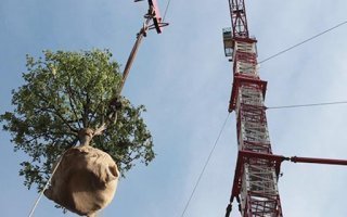 (Diaporama) En Italie les immeubles forêts sont une réalité - Batiweb