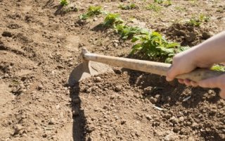 Le plus grand parc d'Île-de-France dédié à l'agriculture urbaine - Batiweb