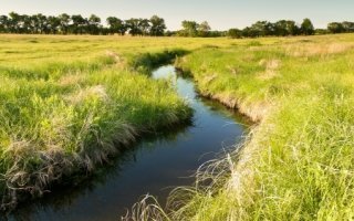 La biodiversité ordinaire de retour dans les carrières - Batiweb