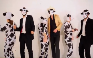 Une parodie de clip contre le projet de la ferme des « 1000 vaches » - Batiweb