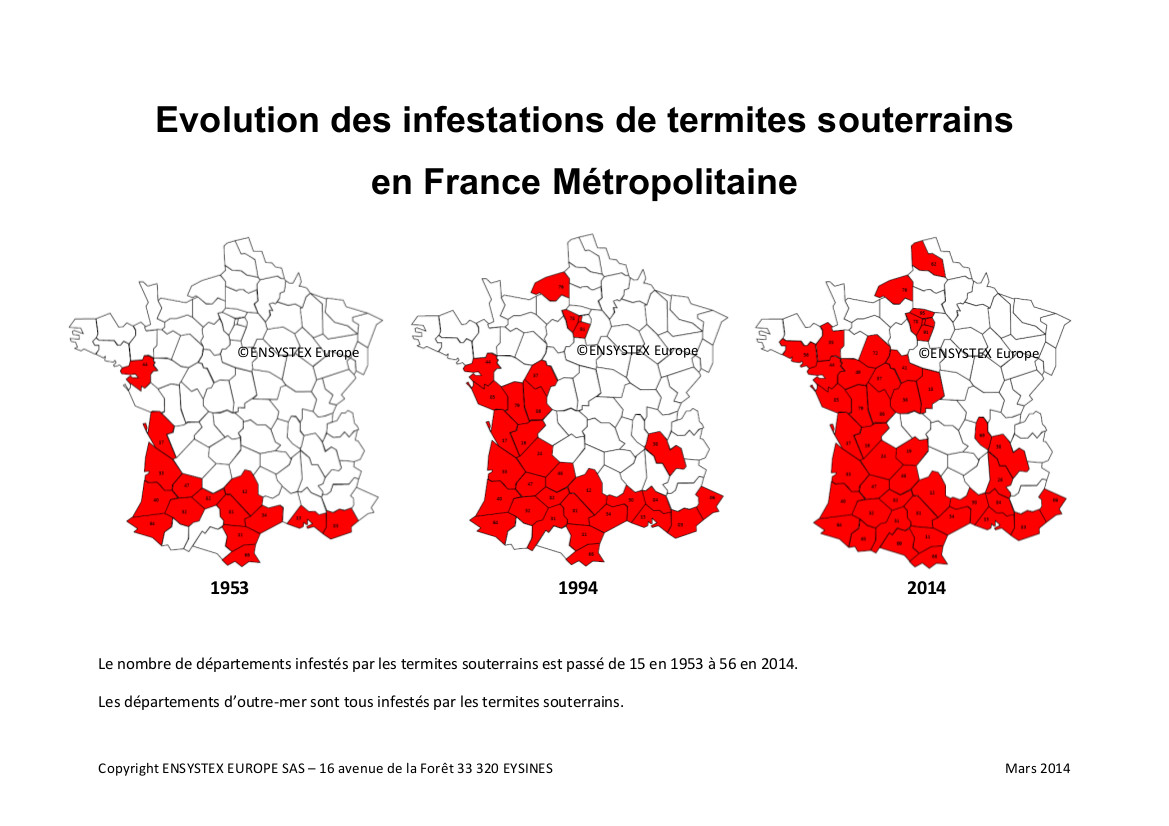 Lutte contre les termites : la révision du maillage ne fait pas consensus - Batiweb