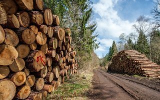 La FNB alerte sur la situation de précarité des scieries françaises - Batiweb