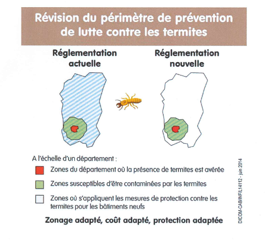 Lutte contre les termites : l'application du dernier décret pose problème (SNAPB) - Batiweb