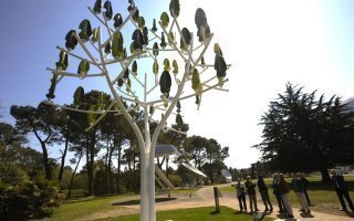 Mini-éoliennes : l'Arbre à Vent veut proliférer dans les collectivités et les entreprises en 2015 - Batiweb