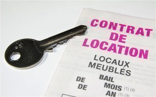 Contrat-type de location : quelles nouvelles obligations au 1er août ? - Batiweb