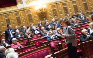 Le Sénat adopte en première lecture le projet de loi création - Batiweb