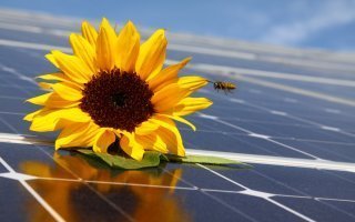 Nouvel appel d’offres pour 3 000 MW de centrales solaires au sol - Batiweb