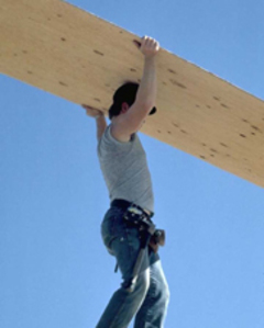 Naissance d'une licence  - Batiweb