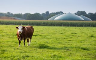 GRDF et l’INRA souhaitent développer la méthanisation agricole - Batiweb