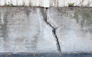 Bientôt un béton « auto-cicatrisant » grâce à un champignon ? - Batiweb