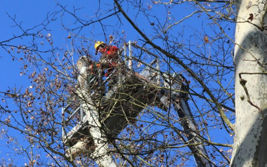 Einaudi and company - Batiweb