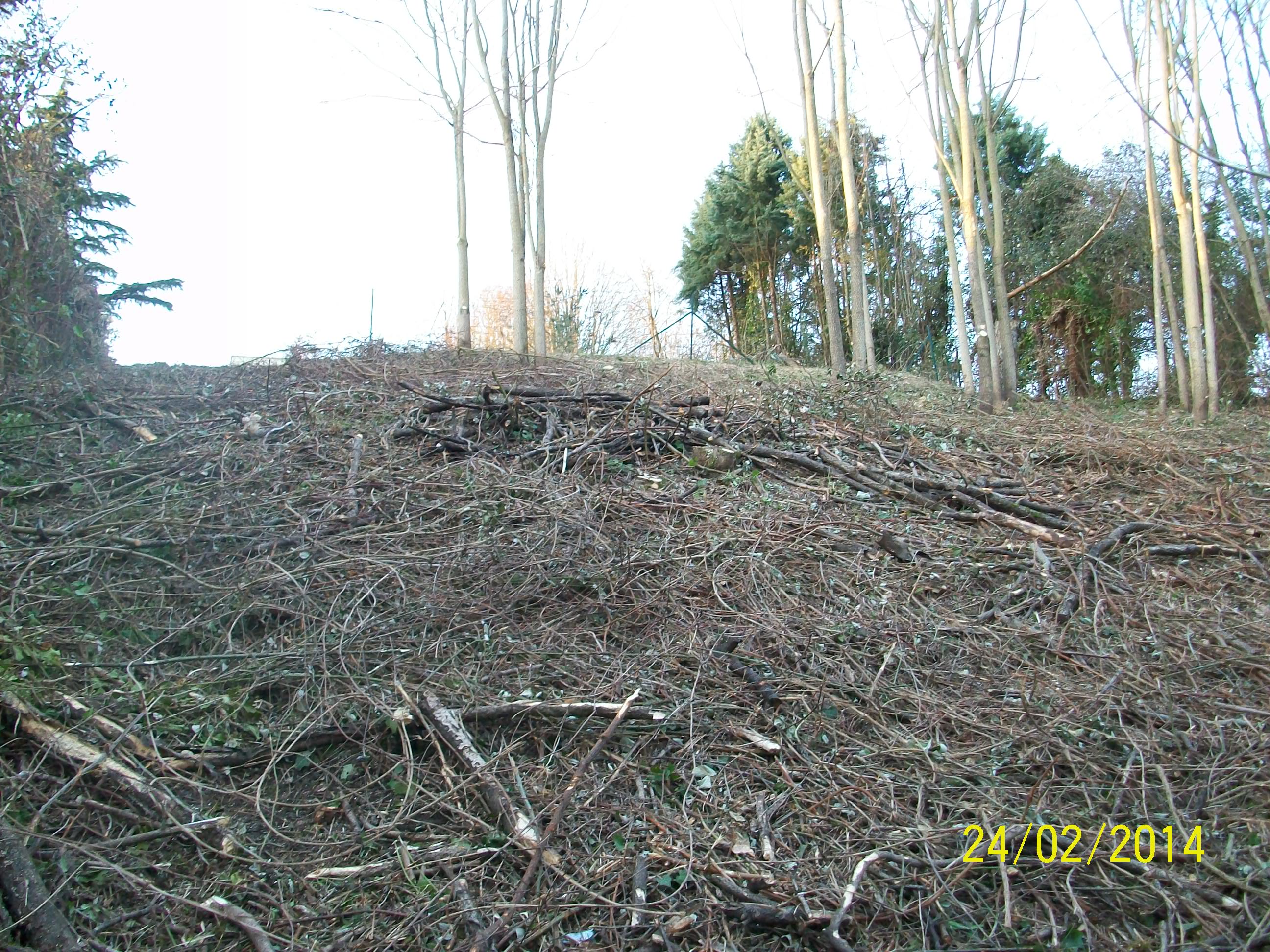 Article Naoned and co Nominations avec Td - Batiweb