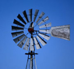 Un dispositif écologique inscrit dans le parcours vertueux de l’eau au sein d’un parc  - Batiweb