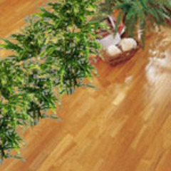 Un jardin d’hiver révolutionnaire : le parquet-bambou à bambous !! - Batiweb