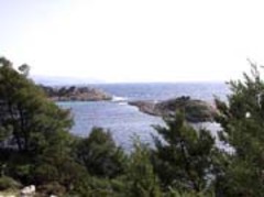 Iles désertes à vendre: Robinson aurait eu son Vendredi Croate - Batiweb