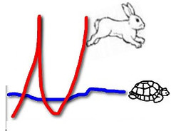 Chi va piano, va sano ... Bon, mais pour notre secteur cela donne quoi ? - Batiweb