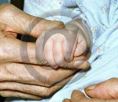 Idée de ballade ... parce que 'les vacances de la rédaction' - Batiweb