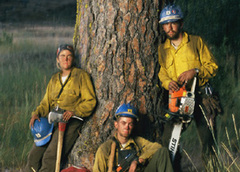 L'activité des artisans du bâtiment n'est plus ce qu'elle était ! Une baisse de régime, Messieurs ? - Batiweb