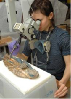 Diplôme de restaurateur du patrimoine : des mémoires de diplôme des élèves restaurateurs - Batiweb