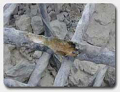 La carbonatation du béton : le LERM fait un état des lieux - Batiweb