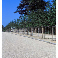 Shell Spramul C - Batiweb