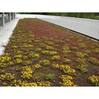 CITYFLOR® - Batiweb