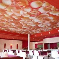 ALYOS acoustic® Plafond acoustique - Batiweb