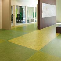 /repo-images/product/335183/Marmoleum2.jpg - Batiweb