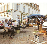bornes électriques escamotables MOSER - Batiweb