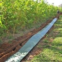 DuPont™ Plantex® RaciBloc (barrière anti-racines) - Batiweb